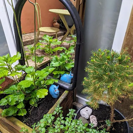 Artist - Center - Bathtub - Terrasse - Full דירה