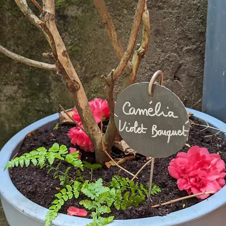 Artist - Center - Bathtub - Terrasse - Full *