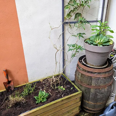 Artist - Center - Bathtub - Terrasse - Full Apartment Rouen