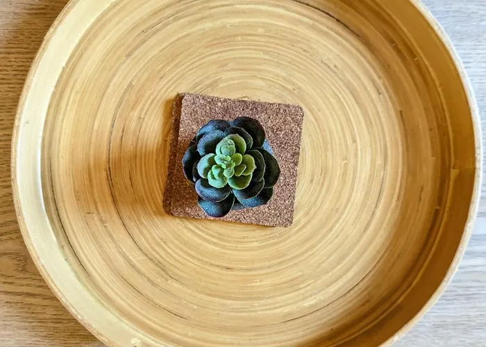 Appartement Artist - Center - Bathtub - Terrasse - Full