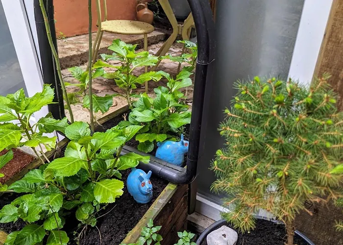 Artist - Center - Bathtub - Terrasse - Full Appartement