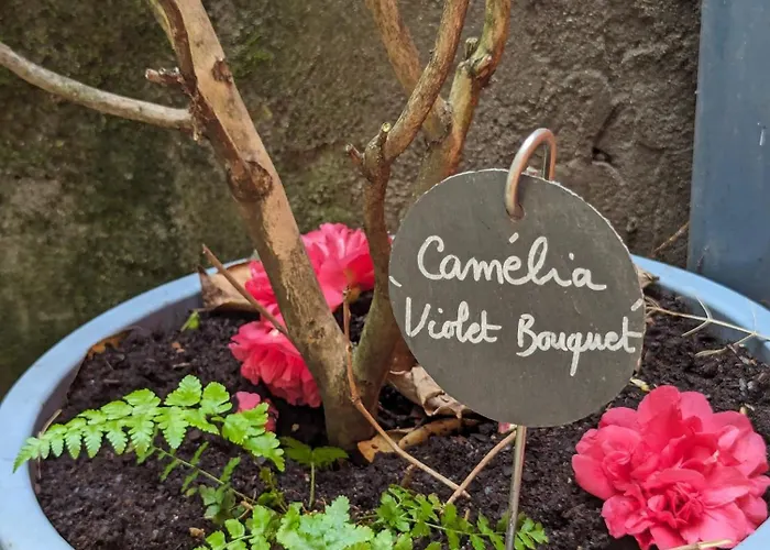 Artist - Center - Bathtub - Terrasse - Full *