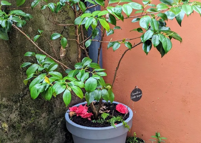 Artist - Center - Bathtub - Terrasse - Full * Rouen